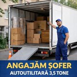 Sofer auto-utilitara cub 3,5 tone, Bucuresti